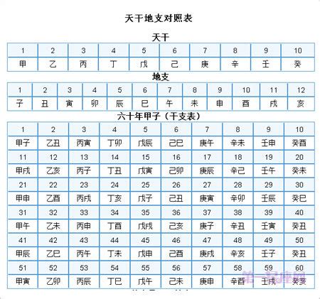 1982 天干地支|天干属性 干支纪年对照表